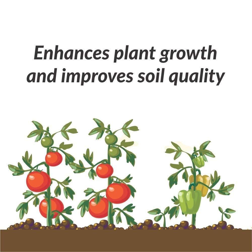 Organic Potash Fertilizer 350gm